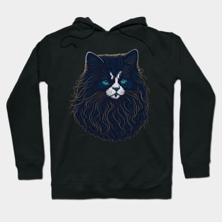 Mystical Whiskers: Black Cat with a Luscious Beard Hoodie